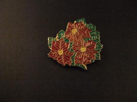 Bloemen boeket ( rood)